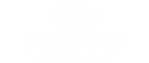 Montado - Website & Loja Online | SEO | Redes Sociais | Google Adwords | Email Marketing