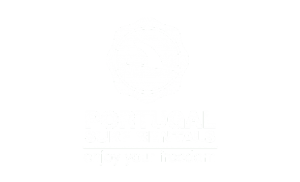 Portugal Surf Rentals - Website Responsivo | SEO | Copywriting | Analítica Web