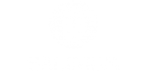 Salinium - Website Responsivo | SEO | Fotografia | Copywriting | Analítica Web