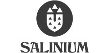 Salinium - Website Responsivo | SEO | Fotografia | Copywriting | Analítica Web