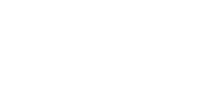 Logo SNT - agência marketing digital trigger